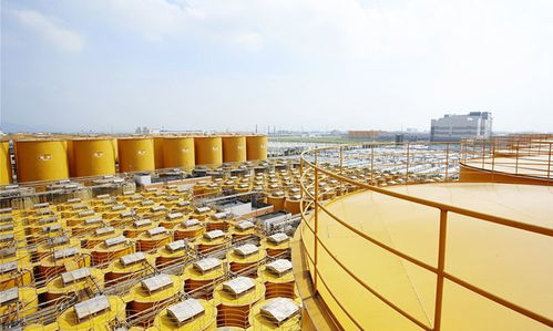 中國食品制造大王 調(diào)味品界茅臺,億萬富豪工廠 絕不 打醬油