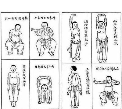 拉筋方法,老驥伏櫪,健身氣功,導引養(yǎng)生功,運動鍛煉,中醫(yī)經絡