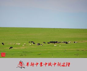 老驥伏櫪，志在千里 單騎穿越中蒙、中俄、中朝邊陲游記與攻略